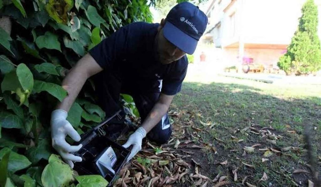 Anticimex 3d sanidad ambiental / wisecon estrategia de plataforma