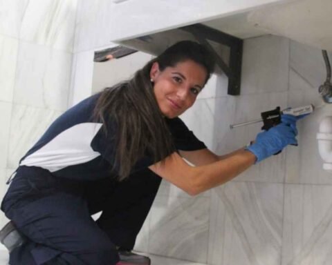 Anticimex 3d sanidad ambiental / wisecon estrategia de plataforma