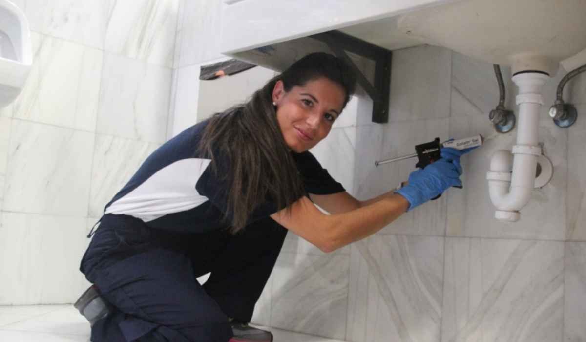 Anticimex 3d sanidad ambiental / wisecon estrategia de plataforma